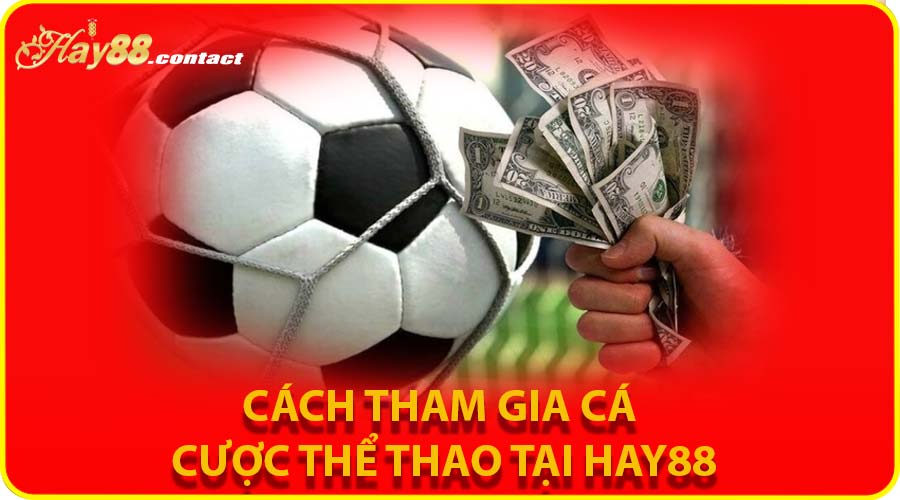 Cách tham gia cá cược thể thao tại HAY88